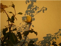 312399a3-Picture 875.jpg